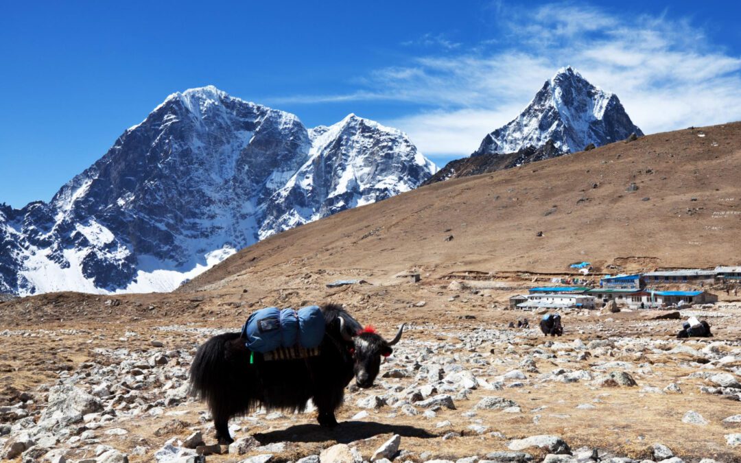 Vallée de l’Annapurna