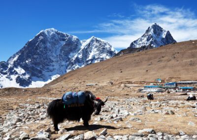 Vallée de l’Annapurna