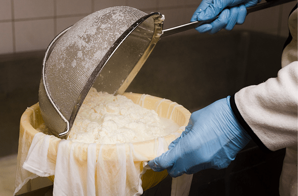 fromager qui fait un fromage