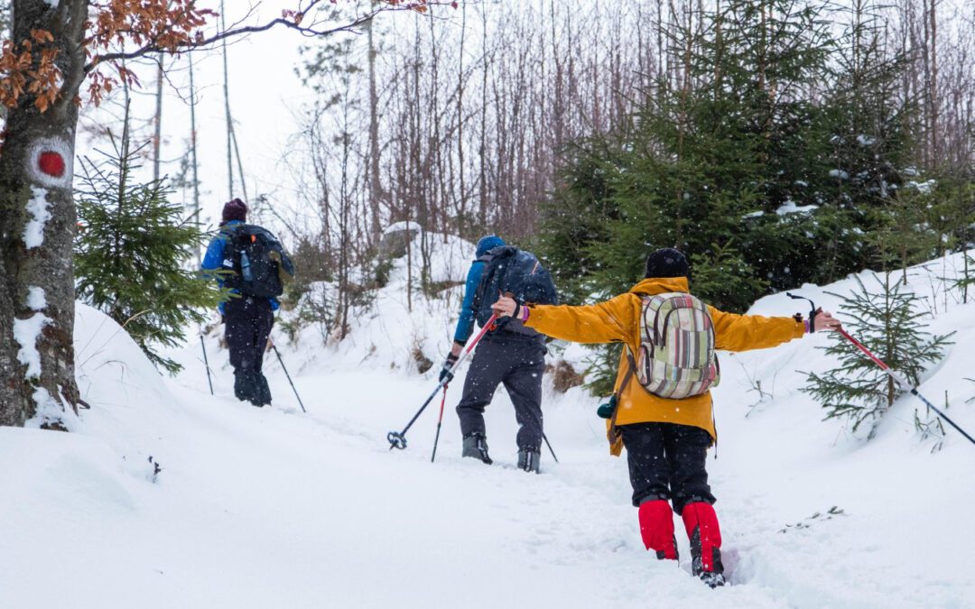 Mont Pelvoux par le refuge des Écrins