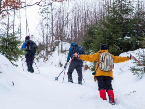 Mont Pelvoux par le refuge des Écrins