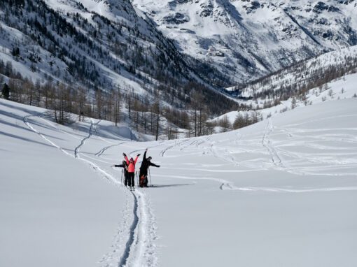 Glacier Blanc et lac du Lauvitel
